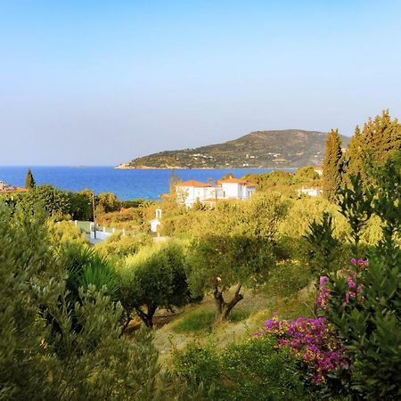 Kedros Hotel Samos Island Exteriör bild