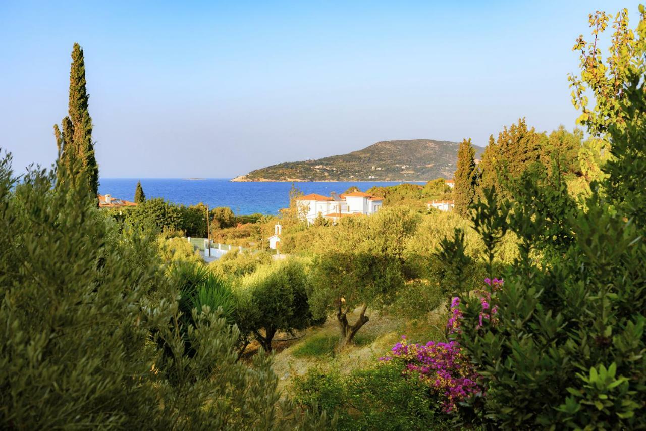 Kedros Hotel Samos Island Exteriör bild